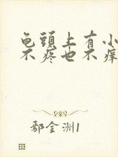 龟头上有小疙瘩不疼也不痒