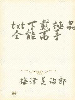 txt下载极品全能高手