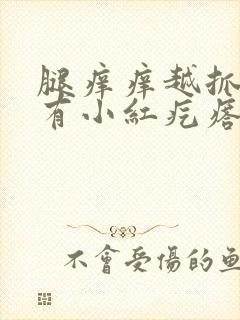 腿痒痒越抓越痒有小红疙瘩