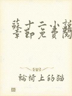 苏十二小说最新章节免费阅读全文封面