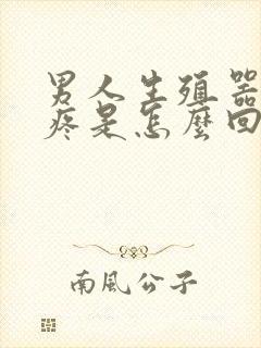 男人生殖器里面疼是怎么回事封面