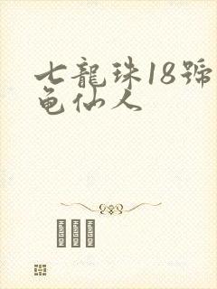 七龙珠18号和龟仙人