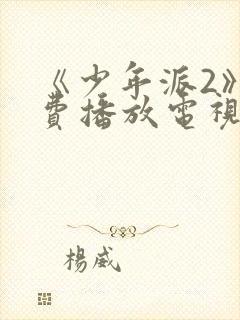 《少年派2》免费播放电视剧