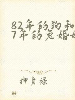 82年的狗和87年的兔婚姻怎么样