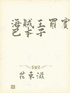 海贼王罗宾和乔巴本子