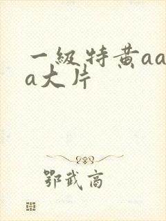 一级特黄aa a大片