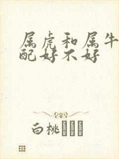 属虎和属牛的婚配好不好