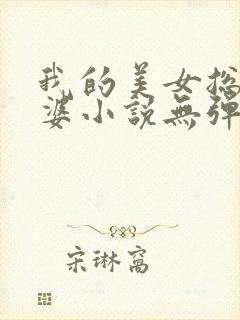 我的美女总裁老婆小说无弹窗