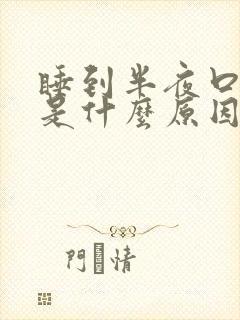 睡到半夜口发苦是什么原因