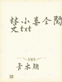 林小喜全阅读全文txt