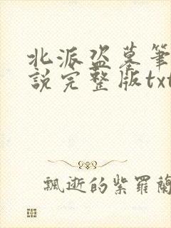 北派盗墓笔记小说完整版txt