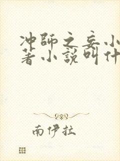 冲师之妄小说原著小说叫什么名字