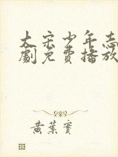 大宋少年志电视剧免费播放封面