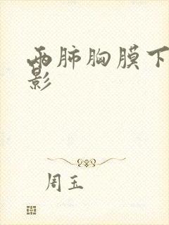 两肺胸膜下条索影封面