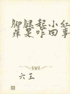 脚腿起小红疙瘩痒是咋回事