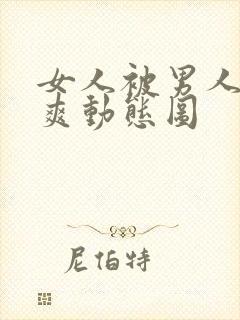 女人被男人躁的爽动态图