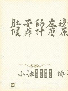 肚子的左边有时候疼什么原因封面