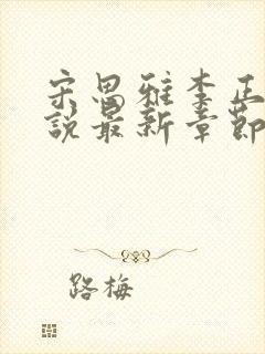 宋思雅李正安小说最新章节