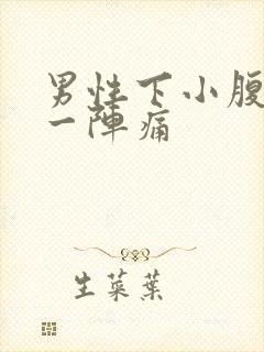 男性下小腹一阵一阵痛