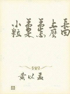 小弟弟上长小肉粒是怎么回事封面