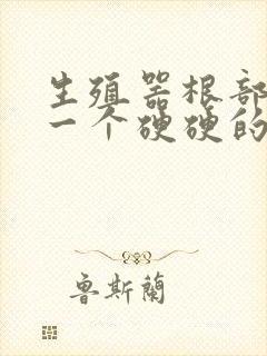 生殖器根部起了一个硬硬的疙瘩