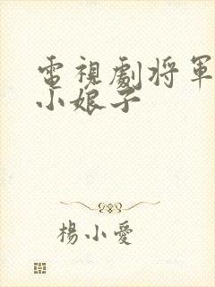 电视剧将军家的小娘子