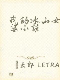 我的冰山女神老婆小说