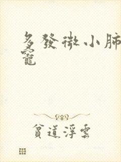 多发微小肺结节灶