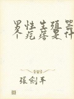 男性生殖器上长个疙瘩是什么原因