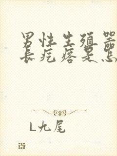 男性生殖器根部长疙瘩是怎么回事封面