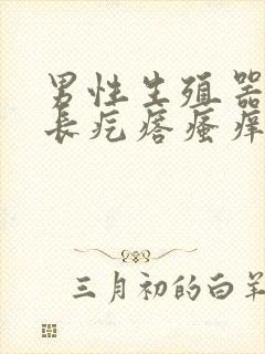 男性生殖器根部长疙瘩瘙痒