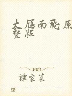 大雁南飞原唱完整版封面