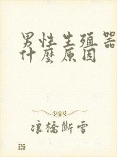 男性生殖器肿大什么原因