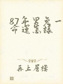 87年男兔一生命运怎样
