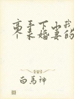 高手下山我有九个未婚妻的小说