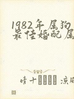 1982年属狗最佳婚配属相