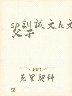 sp训诫文h文父子
