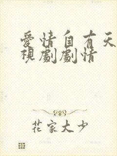 爱情自有天意电视剧剧情