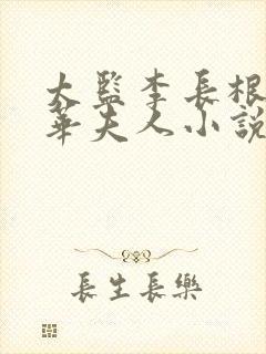 太监李长根,芳华夫人小说阅读封面