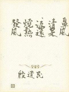 发烧流清鼻涕是风热还是风寒