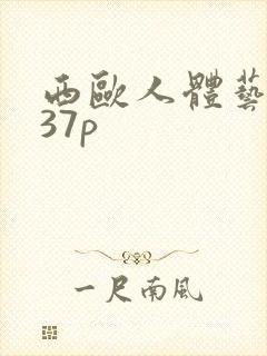 西欧人体艺术337p