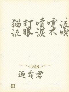 猫打喷嚏流鼻涕流眼泪不吃饭怎么办封面