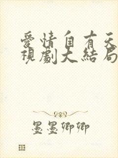 爱情自有天意电视剧大结局