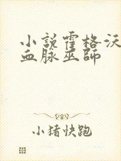 小说霍格沃茨之血脉巫师封面