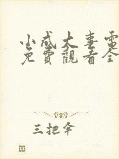 小成大事电视剧免费观看全集高清