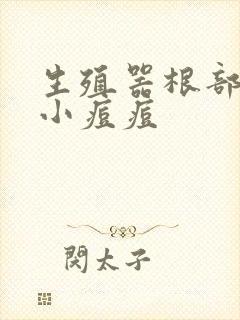 生殖器根部长个小痘痘