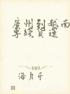 广州到越南物流专线货运