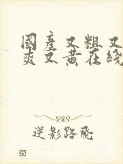 国产又粗又猛又爽又黄在线