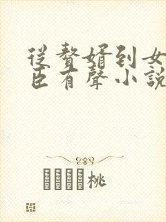 从赘婿到女帝宠臣有声小说