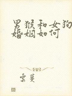 男猴和女狗相配婚姻如何封面